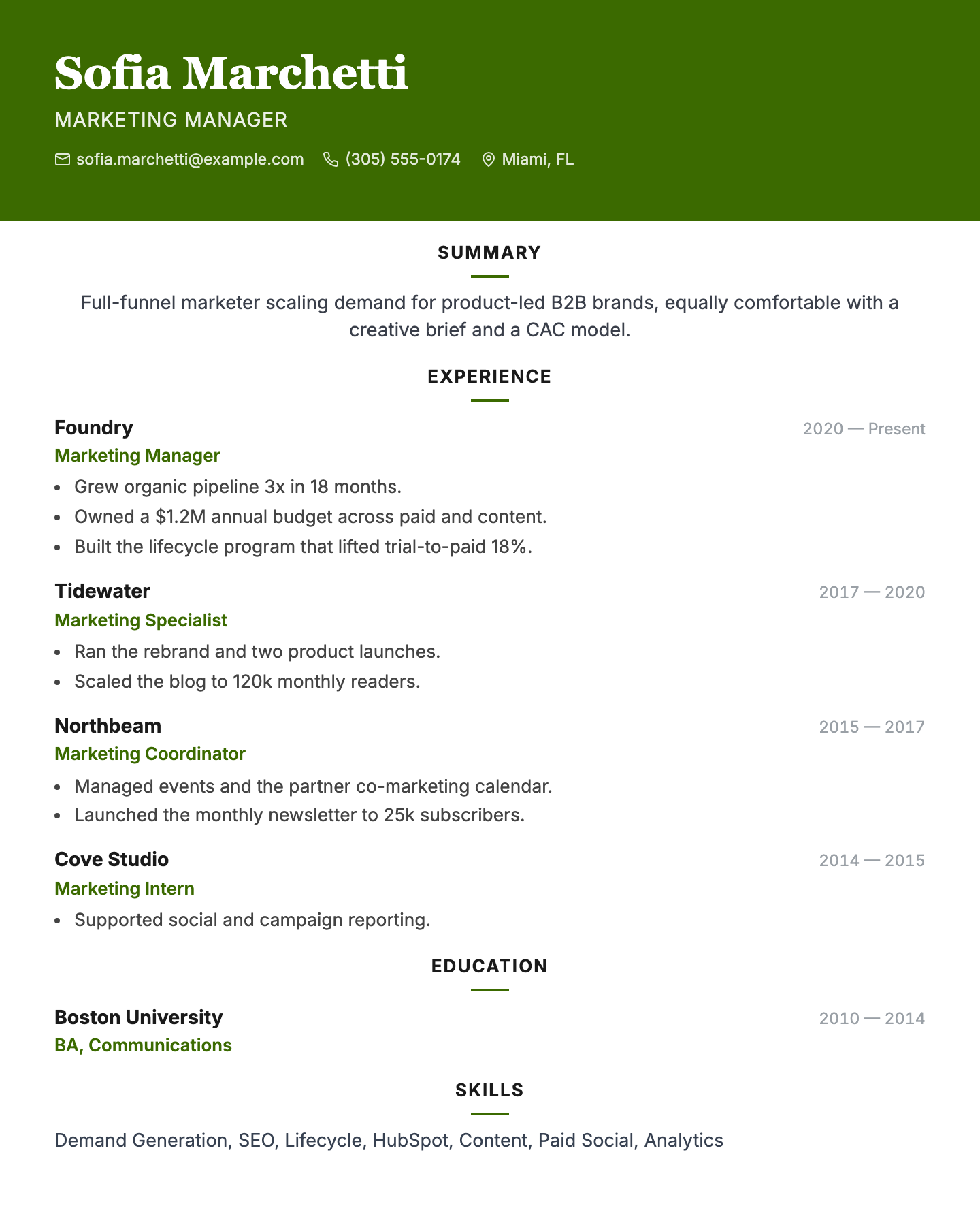 Marketing Manager resume example